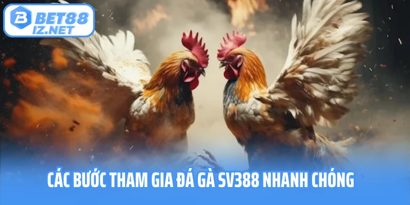 Các bước tham gia đá gà SV388 nhanh chóng