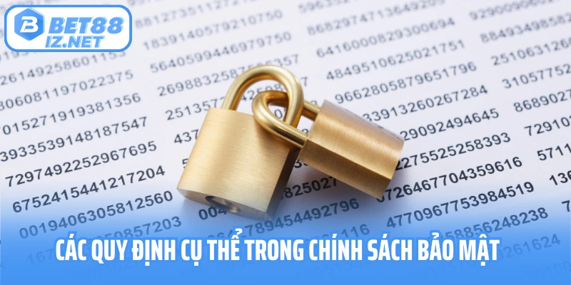 Các quy định cụ thể trong chính sách bảo mật