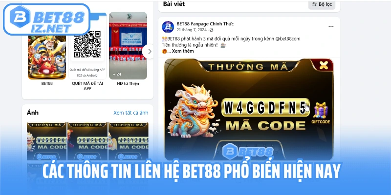 Các thông tin liên hệ phổ biến hiện nay