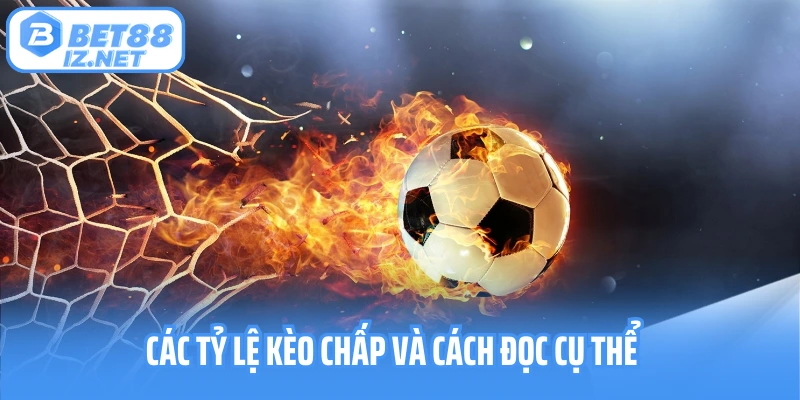Các tỷ lệ kèo chấp và cách đọc cụ thể