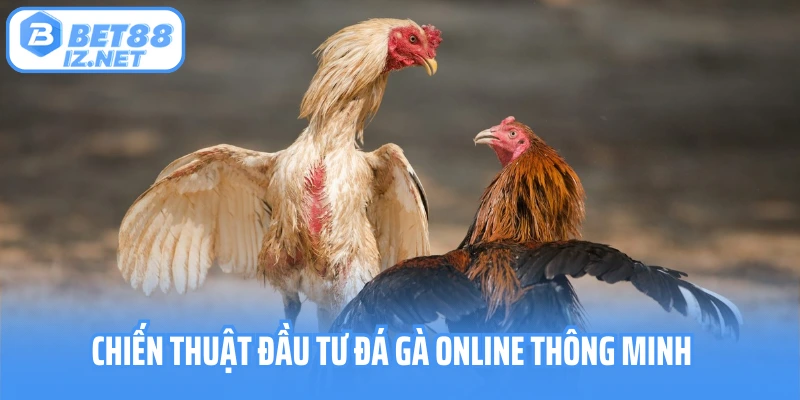 Chiến thuật đầu tư đá gà online thông minh