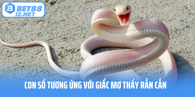 Con số tương ứng với giấc mơ thấy rắn cắn