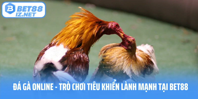 Đá gà online