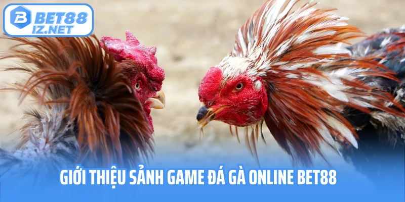 Giới thiệu sảnh game đá gà online