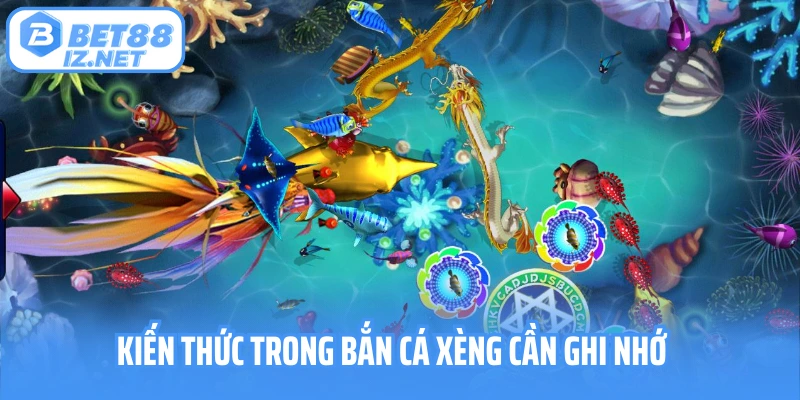Kiến thức trong bắn cá xèng cần ghi nhớ