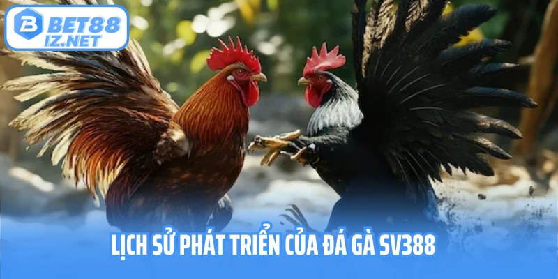 Lịch sử phát triển của đá gà SV388