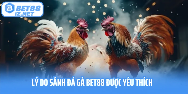 Lý do sảnh đá gà Bet88 được yêu thích
