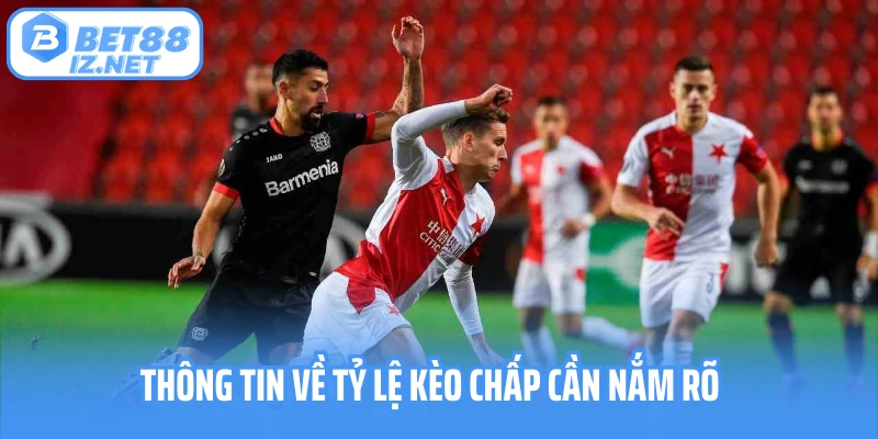 Thông tin về tỷ lệ kèo chấp cần nắm rõ